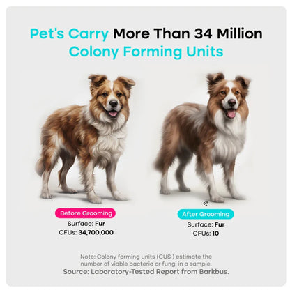 Plo® Dog Grooming Vacuum