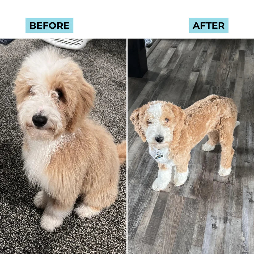 Plo® Dog Grooming Vacuum